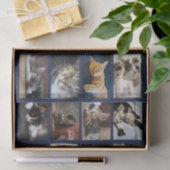 Schattigee Katten en Kittens Fotosjabloon op Navy Tissuepapier (Geschenk)
