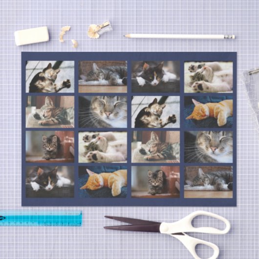 Schattigee Katten en Kittens Fotosjabloon op Navy Tissuepapier (Craft)