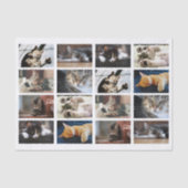 Schattigee katten en Kittens Fotosjabloon op wit Tissuepapier (Voorkant)