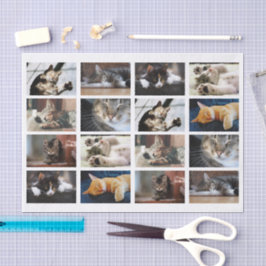 Schattigee katten en Kittens Fotosjabloon op wit Tissuepapier
