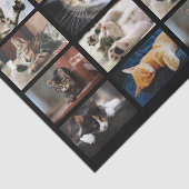 Schattigee katten en Kittens Fotosjabloon op zwart Tissuepapier (Detail)