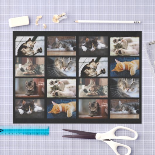 Schattigee katten en Kittens Fotosjabloon op zwart Tissuepapier (Craft)
