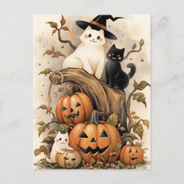 Schattigee katten en Kittens op Halloween pompoene Briefkaart