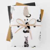Schattigee katten en poten cadeauverpakking met bi inpakpapier vel (In situ)
