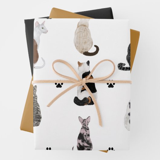 Schattigee katten en poten cadeauverpakking met bi inpakpapier vel (In situ)