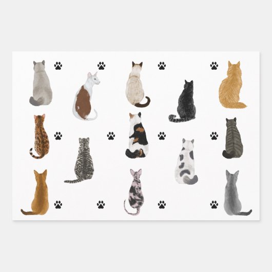 Schattigee katten en poten cadeauverpakking met bi inpakpapier vel (Voorkant)