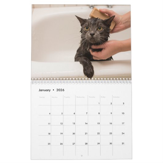 Schattigee katten  fotowand kalender (Jan 2026)