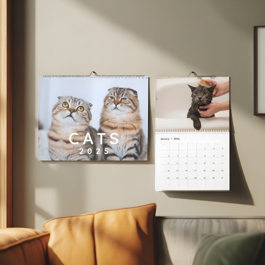 Schattigee katten  fotowand kalender