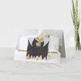 Schattigee katten Halloween vleermuiskostuum Kaart