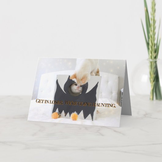 Schattigee katten Halloween vleermuiskostuum Kaart (Voorkant)