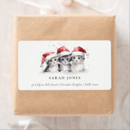 Schattigee katten harig en helder kerstadres etiket