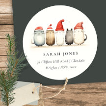 Schattigee katten harig en helder kerstadres