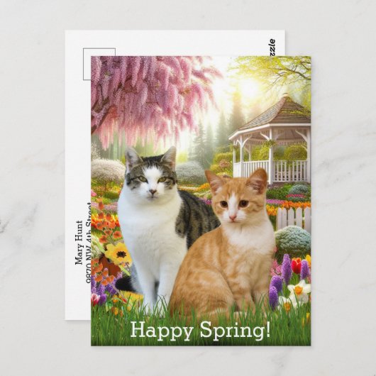 Schattigee katten in de tuin briefkaart (Voorkant / Achterkant)