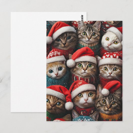 Schattigee katten in Santa Hats Kerstvakantie Huis Briefkaart (Voorkant / Achterkant)