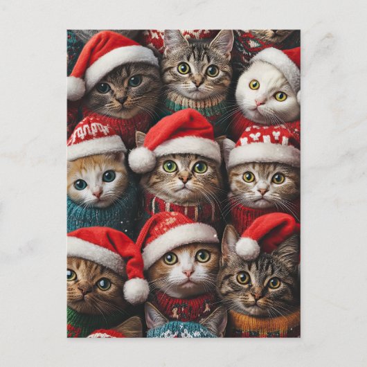 Schattigee katten in Santa Hats Kerstvakantie Huis Briefkaart (Voorkant)
