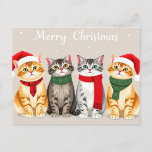 Schattigee katten in Santa Hats Vrolijk kerstontwe Briefkaart