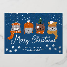 Schattigee katten in winterbreien in sneeuwvlokken