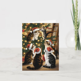 Schattigee  katten kerst kaart