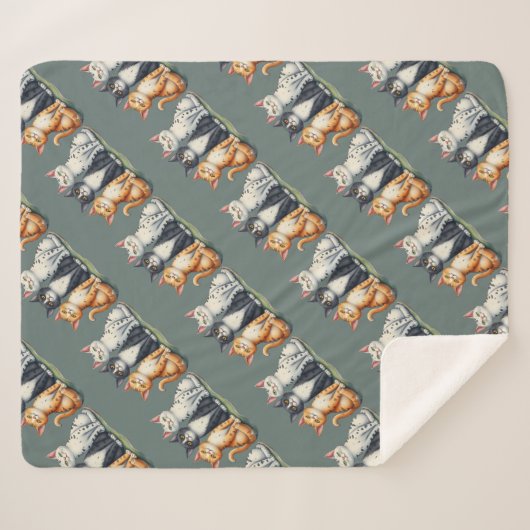 Schattigee Katten Kittens Zien Gelukkig Grijs Groe Sherpa Deken (Voorkant (horizontaal))