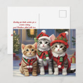 Schattigee katten met kerstmutsen briefkaart (Voorkant / Achterkant)