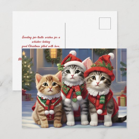 Schattigee katten met kerstmutsen briefkaart (Voorkant / Achterkant)