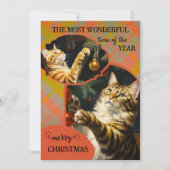 Schattigee  Katten Plaid Vrolijk Kerstfeest Feestdagenkaart (Voorkant)