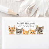 Schattigee Katten Retour Adreslabels Etiket (Insitu)