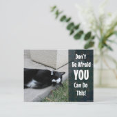 Schattigee katten zijn niet bang briefkaart (Staand voorkant)