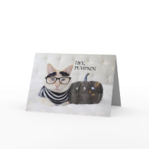 Schattigee kattenborstelige wenkbrauwen en bril Ha