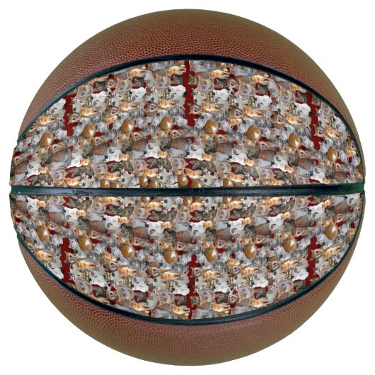 Schattigee kattencollage basketbal (Voorkant)