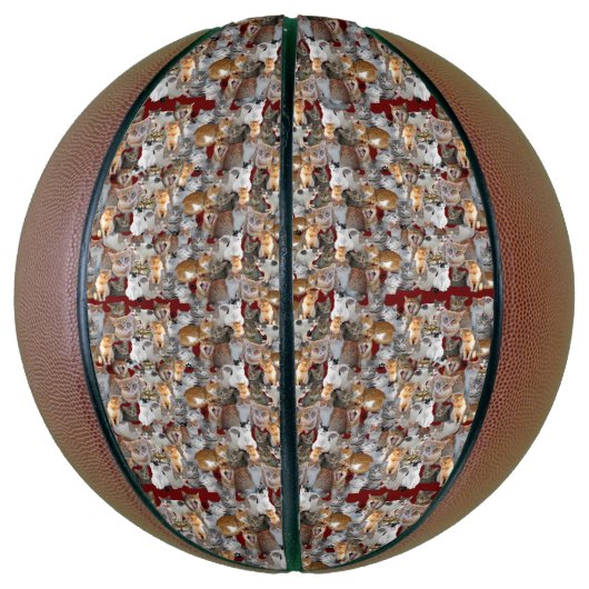 Schattigee kattencollage basketbal (Verticaal)