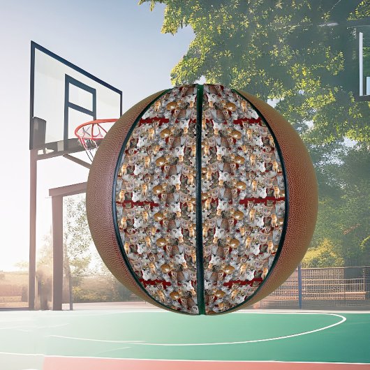 Schattigee kattencollage basketbal