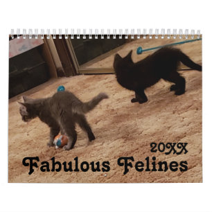 Schattigee kattenfoto's met leuke Gezegden Kalender