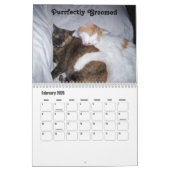 Schattigee kattenfoto's met leuke Gezegden Kalender (Feb 2026)