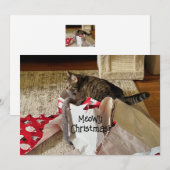 Schattigee kattenkerst, genieten van cadeau vakant feestdagenkaart (Voorkant / Achterkant)