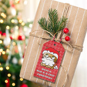 Schattigee Kattenliefhebber Kerst Cartoon Grappig Cadeaulabel