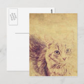 Schattigee kattenliefhebber potlood schets grijs t briefkaart (Voorkant / Achterkant)