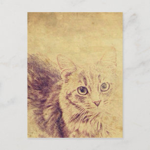 Schattigee kattenliefhebber potlood schets grijs t briefkaart