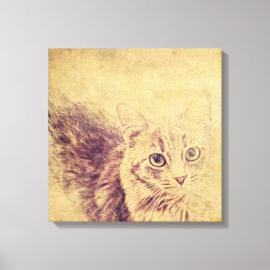 Schattigee kattenliefhebber potlood schets grijs t canvas afdruk (Voorkant)