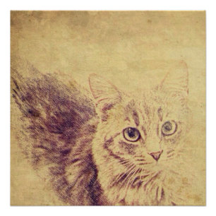Schattigee kattenliefhebber potlood schets grijs t poster