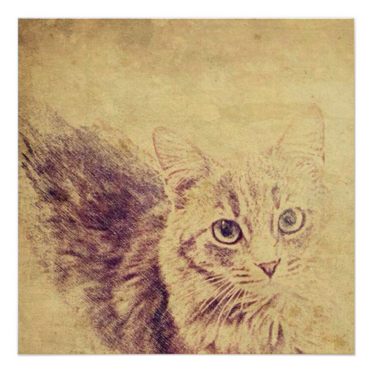 Schattigee kattenliefhebber potlood schets grijs t poster (Voorkant)