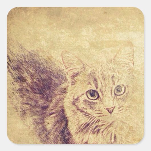 Schattigee kattenliefhebber potlood schets grijs t vierkante sticker (Voorkant)