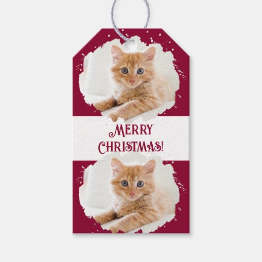 Schattigee kattenliefhebbers gepersonaliseerd foto cadeaulabel (Voorkant)