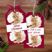 Schattigee kattenliefhebbers gepersonaliseerd foto cadeaulabel