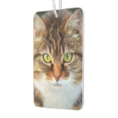 Schattigee kattenogen luchtverfrisser (Links)