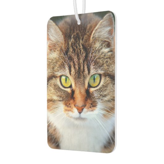 Schattigee kattenogen luchtverfrisser (Links)