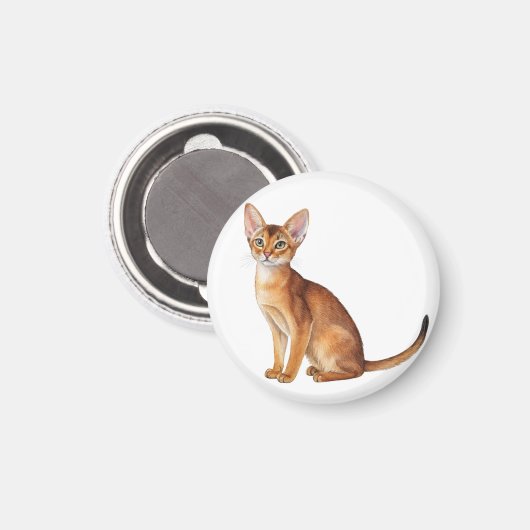 Schattigee kattenrassen waaronder een Abessijn Magneet (Voorkant / Achterkant)