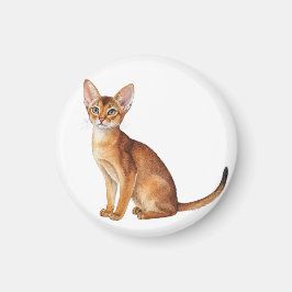 Schattigee kattenrassen waaronder een Abessijn Magneet