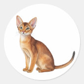 Schattigee kattenrassen waaronder een Abessijn Ronde Sticker (Voorkant)