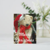 Schattigee Kerst Beer Foto Briefkaart (Staand voorkant)